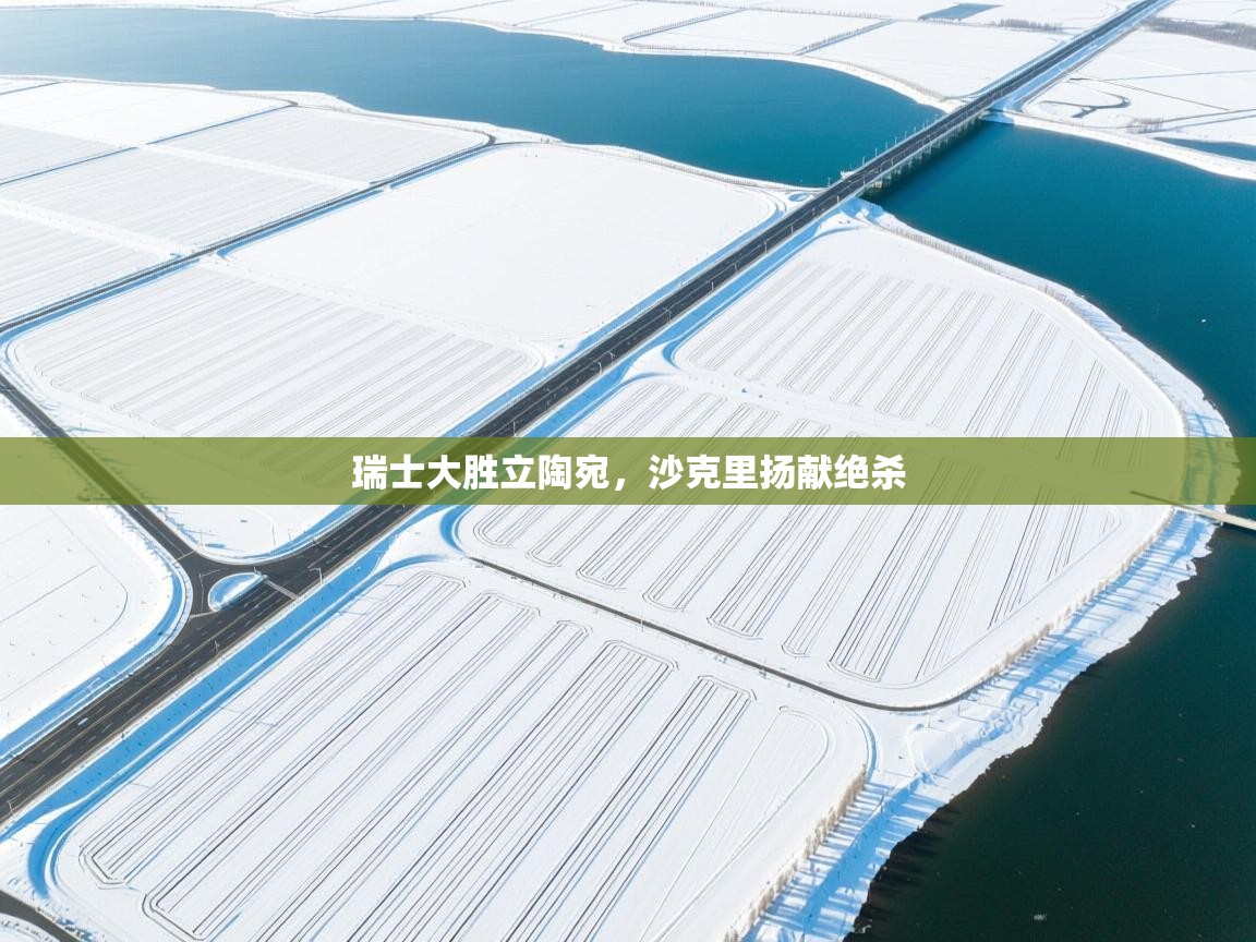 瑞士大胜立陶宛，沙克里扬献绝杀  第2张