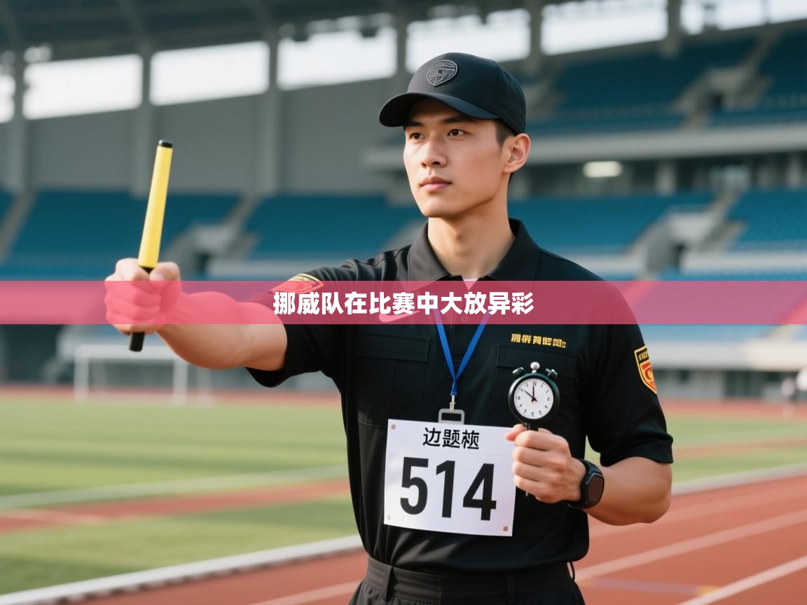 挪威队在比赛中大放异彩  第2张