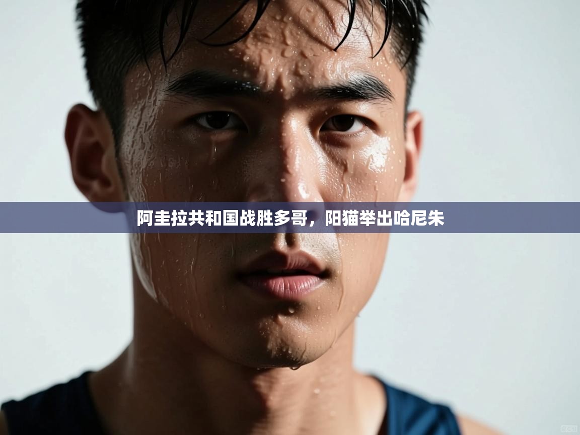 阿圭拉共和国战胜多哥，阳猫举出哈尼朱  第1张