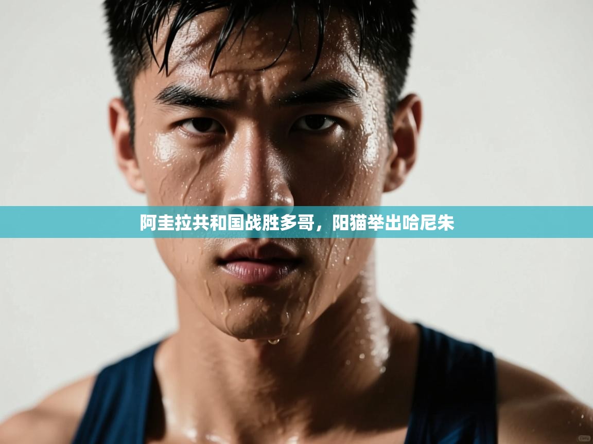 阿圭拉共和国战胜多哥，阳猫举出哈尼朱  第2张