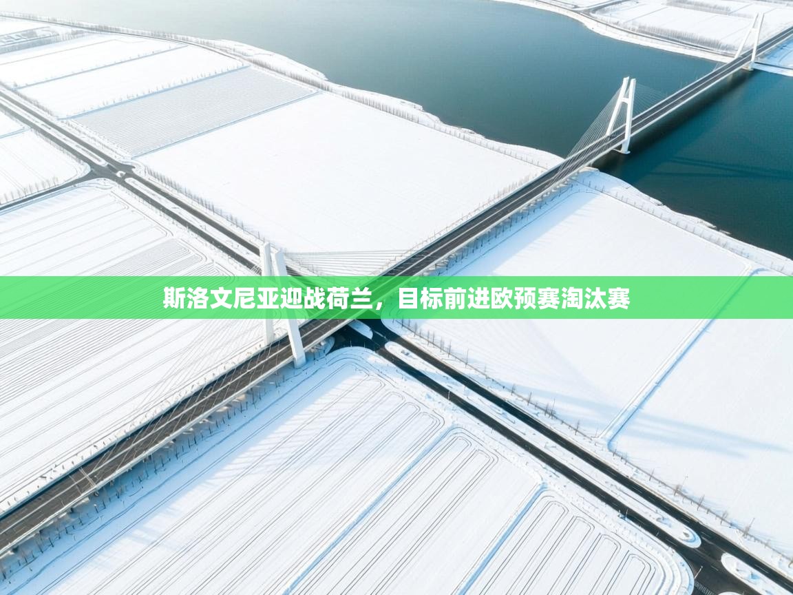 斯洛文尼亚迎战荷兰,目标前进欧预赛淘汰赛 第1张