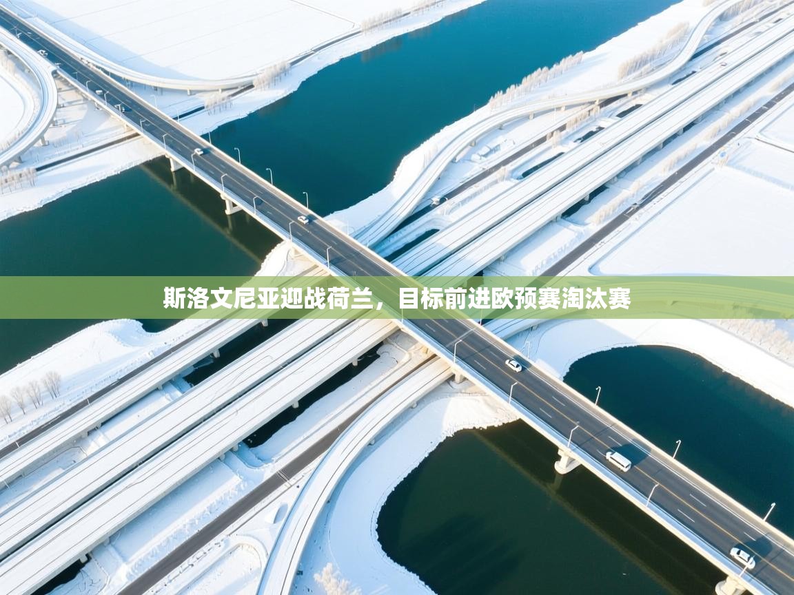 斯洛文尼亚迎战荷兰,目标前进欧预赛淘汰赛 第2张